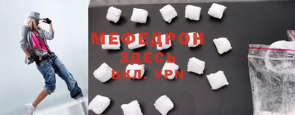 индика Осташков