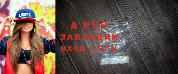 индика Осташков