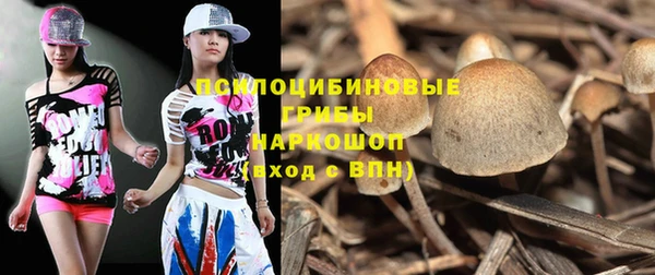 винт Абинск